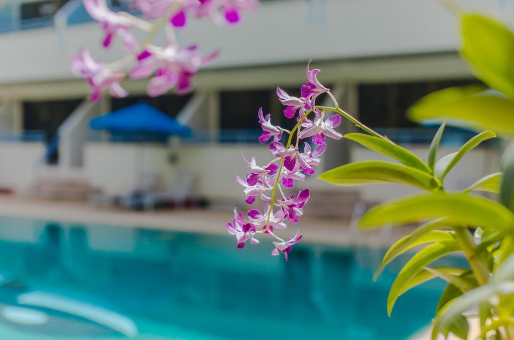 Karon Whale Resort Phuket Exterior photo